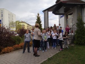 Bluszczolandia- szkolny zakątek przyrody