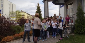 Bluszczolandia- szkolny zakątek przyrody