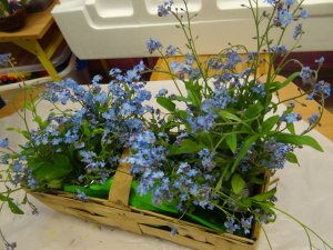 Mały, wyjątkowy kwiatek