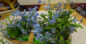 Mały, wyjątkowy kwiatek