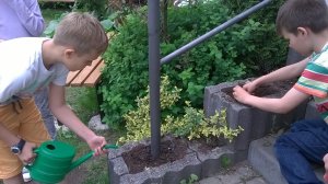 Pielęgnacja roślin