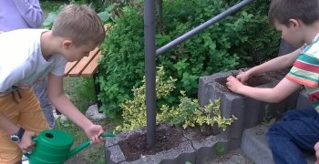 Pielęgnacja roślin