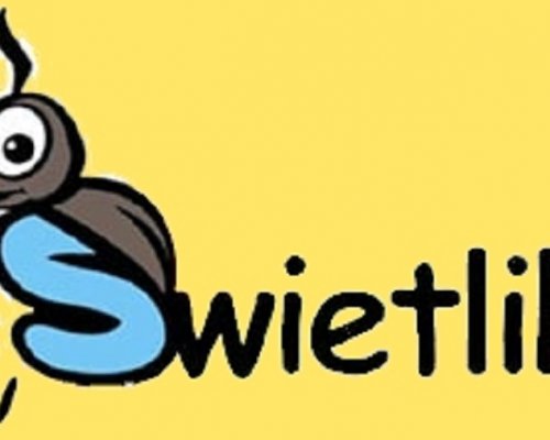 Wyniki  „ŚWIETLIK”