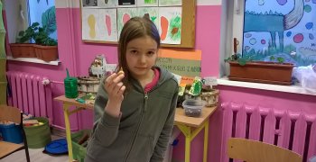 Co wyrośnie z małych cebulek