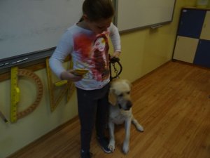 Lekcja przyrody – zwierzęta w moim domu