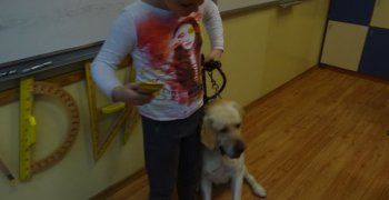 Lekcja przyrody – zwierzęta w moim domu