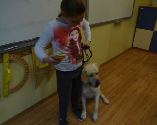 Lekcja przyrody – zwierzęta w moim domu