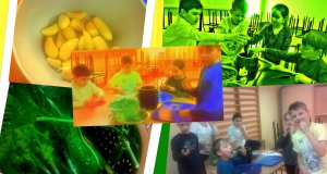 Kiszenie ogórków- EkoOdkrywcy 3