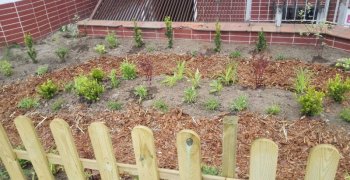 Przyszkolny ogródek