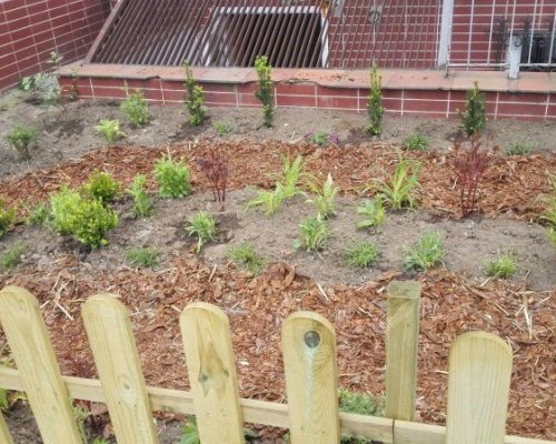 Przyszkolny ogródek