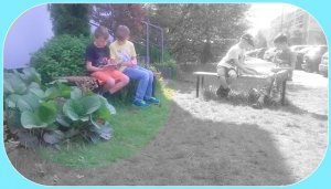 W bluszczolandii 2016