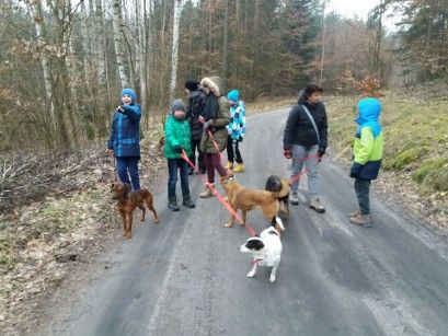 Wizyta w schronisku Wizyta w schronisku