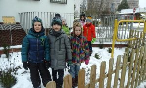 Ekologiczny projekt pt.: „Wielkie tropienie roślin”