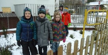 Ekologiczny projekt pt.: “Wielkie tropienie roślin”