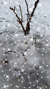 Ferie ze STOJEDYNKĄ