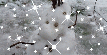 Ferie ze STOJEDYNKĄ