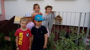 Domek dla owadów – dla bacznych tropicieli i obserwatorów