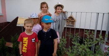 Domek dla owadów – dla bacznych tropicieli i obserwatorów