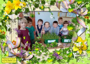 Obserwacja wzrostu roślin – bądź bogatszy o doświadczenia