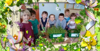 Obserwacja wzrostu roślin – bądź bogatszy o doświadczenia