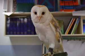 Lekcja przyrody na żywo