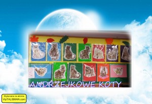 Andrzejkowe koty