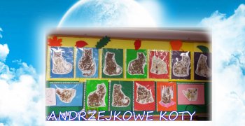 Andrzejkowe koty