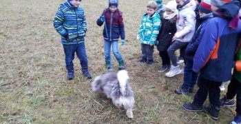 Relacja Filipa Płoskiego z pobytu klasy jagodowej i porzeczkowej w schronisku dla zwierząt w Tomarynach