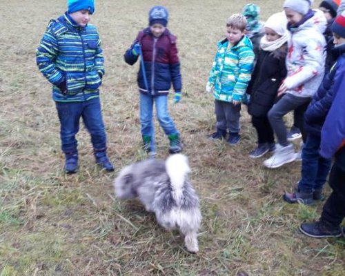 Relacja Filipa Płoskiego z pobytu klasy jagodowej i porzeczkowej w schronisku dla zwierząt w Tomarynach Relacja Filipa Płoskiego z pobytu klasy jagodowej i porzeczkowej w schronisku dla zwierząt w Tomarynach