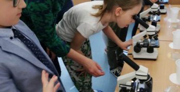 Co wiesz o grzybach?