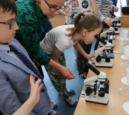 Co wiesz o grzybach? Co wiesz o grzybach?