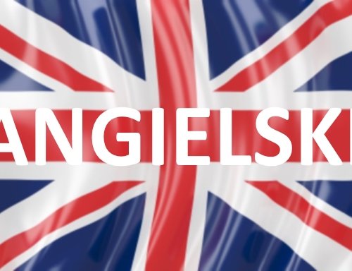 Albus – wyniki Albus – wyniki