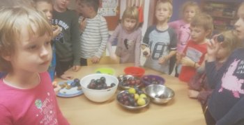 (Polski) Dzień śliwkowy