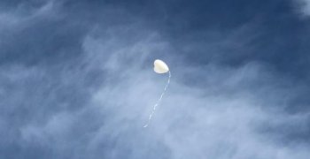 (Polski) Kampania Białych Serc