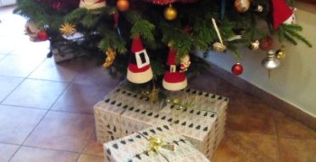 (Polski) Paczka dla Patrycji