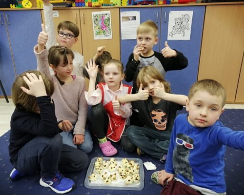 Dzień niedźwiedzia i „niedźwiedzie kulki mocy”