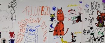 (Polski) Światowy dzień kota