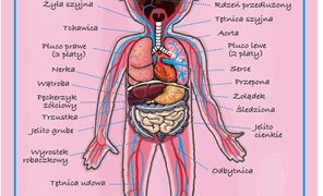 (Polski) “Medyczne tajemnice Erwina”