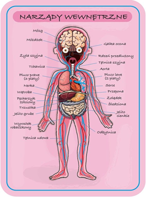 (Polski) “Medyczne tajemnice Erwina”