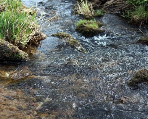 (Polski) Źródła Łyny