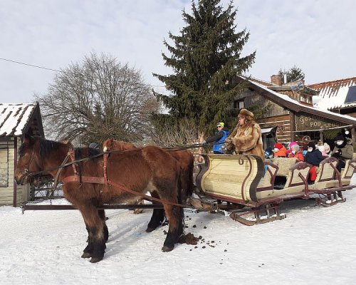 (Polski) Strusiolandia i wspaniały kulig