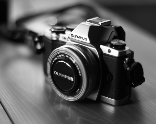 (Polski) Sukces artystyczny Mateusza