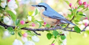 (Polski) Wiosenne życzenia od uczniów Stojedynki