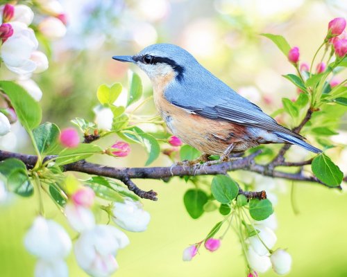 Wiosenne życzenia od uczniów Stojedynki