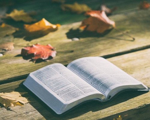 (Polski) Sukces Marysi