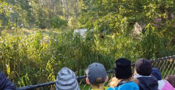 (Polski) Ziołowa Dolina