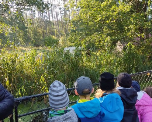 Ziołowa Dolina Ziołowa Dolina