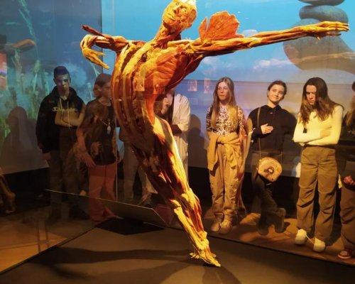 (Polski) Wystawa Body Worlds Vital