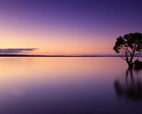 (Polski) WYNIKI KONKURSU “Mein ökologisches Bildwörterbuch”