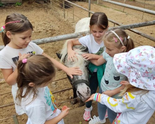 (Polski) Klasy 0-I w Ziołowej Dolinie